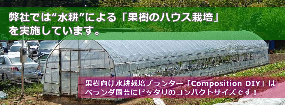 弊社では“水耕”による「果樹のハウス栽培」 を実施しています。