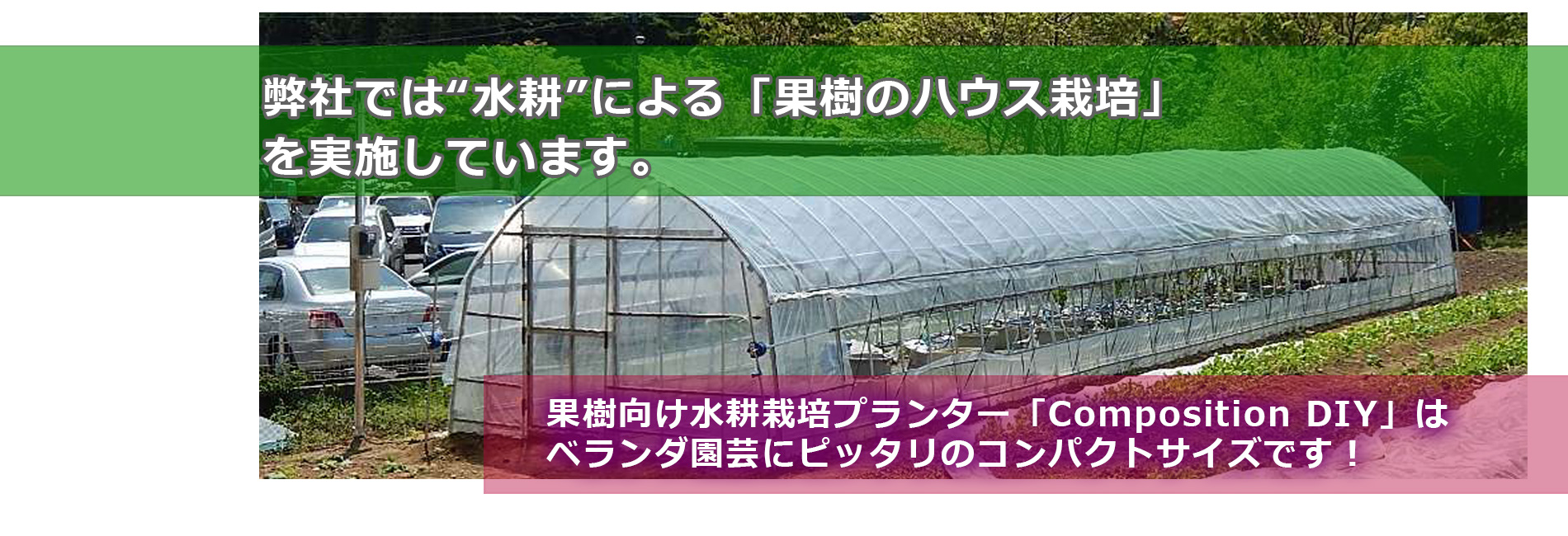 土を使わない果樹栽培 アーバングリーンコンポジション