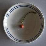 食べちゃいました！