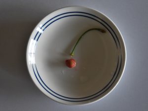 食べちゃいました！