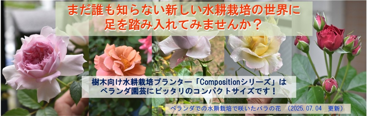 まだ誰も知らない新しい「水耕栽培」の 世界に足を踏み入れてみませんか？