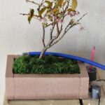 デコレーション完成