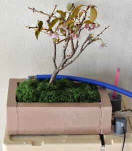 デコレーション完成