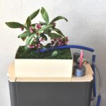 装置上部はこんな感じ！